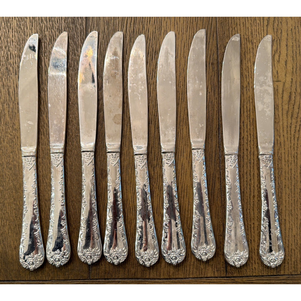 Wm Rogers & Son “Enchanted Rose” Dinner Knives – Set of 12.